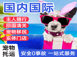 威海空运代理国际宠物托运 【国